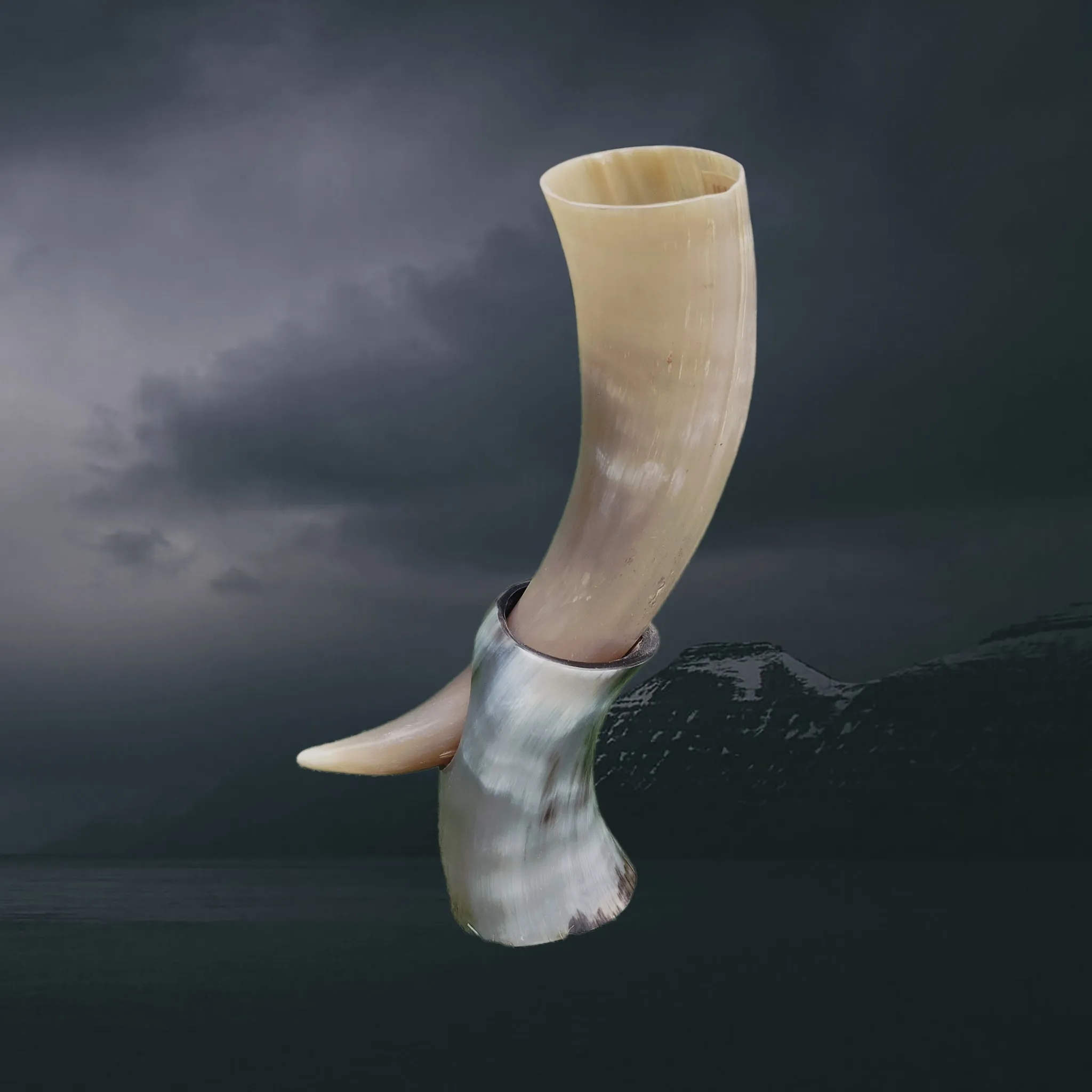 Ox Horn Small Polished Viking Drinking Horn With Horn Stand